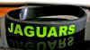 jaguars.jpg (913024 bytes)